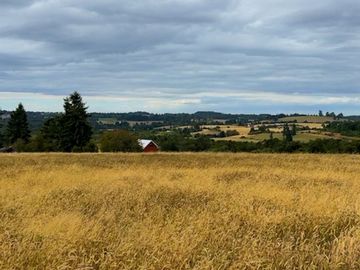 Campo en Puerto Varas, Santa Bárbara, Región de Los Lagos