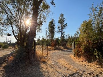 Parcela de 5.000 m2  en loteo San Ramon de Cato en Tres esquina de Cato, Chillán