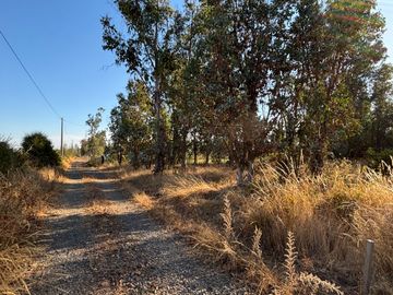 Parcela de 5.000 m2  en loteo San Ramon de Cato en Tres esquina de Cato, Chillán