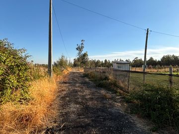Parcela de 5.000 m2  en loteo San Ramon de Cato en Tres esquina de Cato, Chillán