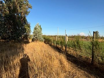 Parcela de 5.000 m2  en loteo San Ramon de Cato en Tres esquina de Cato, Chillán