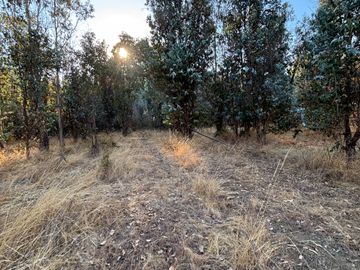 Parcela de 5.000 m2  en loteo San Ramon de Cato en Tres esquina de Cato, Chillán
