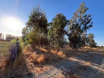 Parcela de 5.000 m2  en loteo San Ramon de Cato en Tres esquina de Cato, Chillán