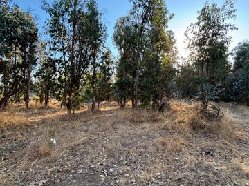 Parcela de 5.000 m2  en loteo San Ramon de Cato en Tres esquina de Cato, Chillán