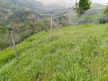 ¡SE VENDE ACOGEDORA FINCA! Gran oportunidad de inversión.💥