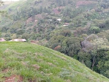 ¡SE VENDE ACOGEDORA FINCA! Gran oportunidad de inversión.💥