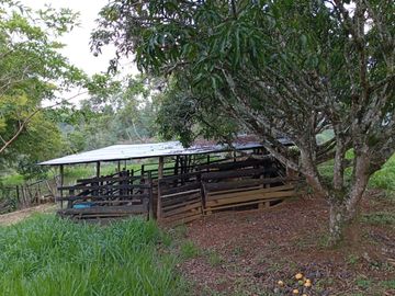 ¡SE VENDE ACOGEDORA FINCA! Gran oportunidad de inversión.💥