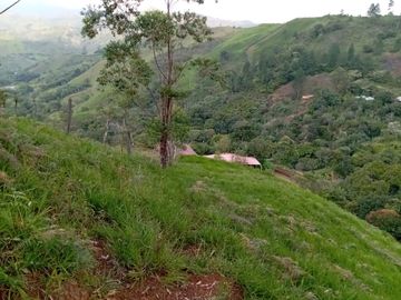 ¡SE VENDE ACOGEDORA FINCA! Gran oportunidad de inversión.💥