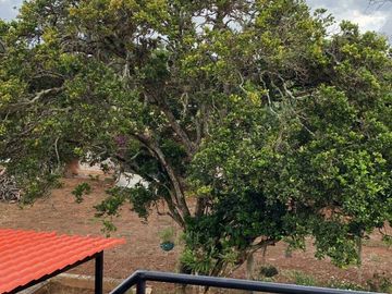 Venta Finca, Pavas La Cumbre