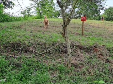 LOTE EN VENTA PARCELACION CAVERMARA