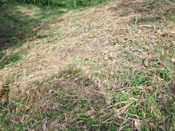 LOTE EN VENTA PARCELACION CAVERMARA
