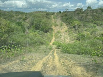 Santa Elena - Macrolote de 380 ha, ideal para producción
