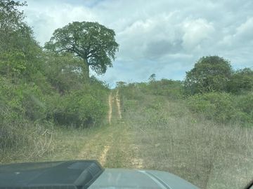 Santa Elena - Macrolote de 380 ha, ideal para producción