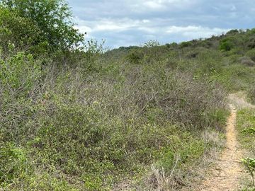 Santa Elena - Macrolote de 380 ha, ideal para producción