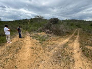 Santa Elena - Macrolote de 380 ha, ideal para producción