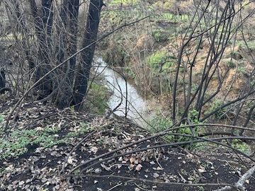 Se VENDE Parcela Agrícola- Oportunidad de Inversión EN VERDE  Santa Juana- Biobio VIII REGION