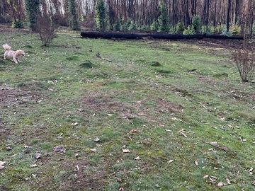 Se VENDE Parcela Agrícola- Oportunidad de Inversión EN VERDE  Santa Juana- Biobio VIII REGION