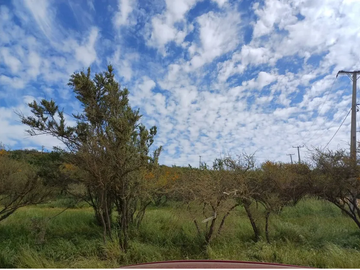 PARCELA 5.000 M² – LIMACHE (Cód 169)