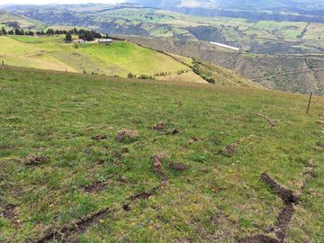 Venta - Hacienda - El Quinche - Quito - Ecuador