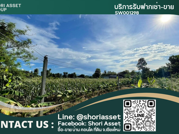 Land and house for sale good location ,near Chedi Mae Krua Market, San Sai, No flood