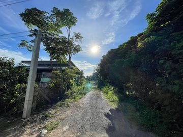 Land and house for sale good location ,near Chedi Mae Krua Market, San Sai, No flood