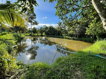 Land and house for sale good location ,near Chedi Mae Krua Market, San Sai, No flood