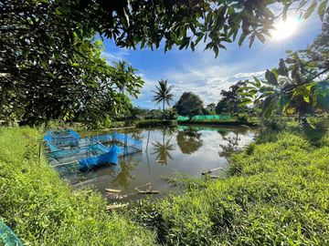 Land and house for sale good location ,near Chedi Mae Krua Market, San Sai, No flood
