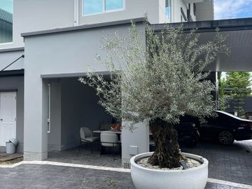 For sale, 2 houses, luxury style, quality society, near Chiang Mai Provincial Government Center