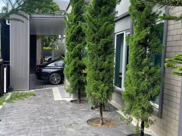 For sale, 2 houses, luxury style, quality society, near Chiang Mai Provincial Government Center