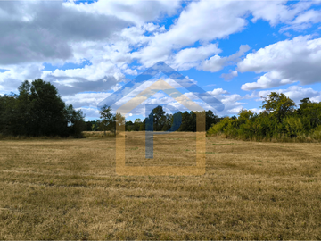¡Ideal para vivir o invertir! Parcelas de 5.000 m2 en Casma, Frutillar.