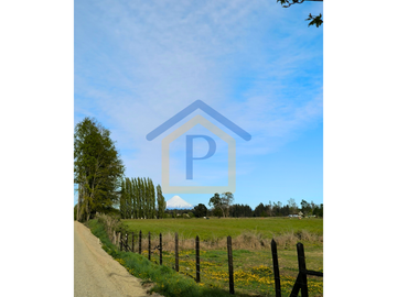 ¡Ideal para vivir o invertir! Parcelas de 5.000 m2 en Casma, Frutillar.