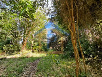 ¡Ideal para vivir o invertir! Parcelas de 5.000 m2 en Casma, Frutillar.