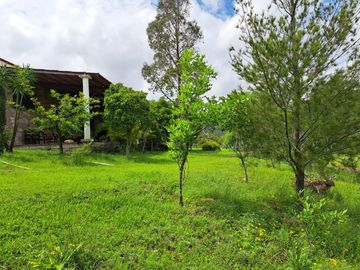 Rancho en venta, entre Guanajuato Capital y Dolores Hidalgo, Gto.