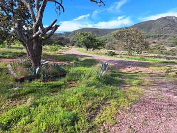 Rancho en venta, entre Guanajuato Capital y Dolores Hidalgo, Gto.