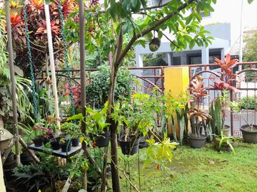 Jual Rumah Asri & Terawat di Sarijadi Bandung – Lokasi Strategis, Siap Huni!
