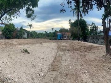 Commercial Lot for Sale in San Miguel Cordova Cebu