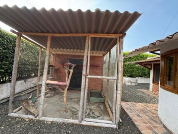 Venta casa campestre via Pereira Alcala