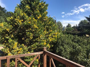 CASA EN ALQUILER TEMPORARIO (3 A 6 MESES)