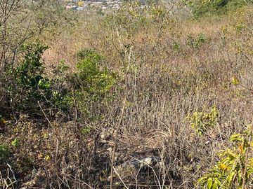 RANCHO EN OCOZOCOAUTLA