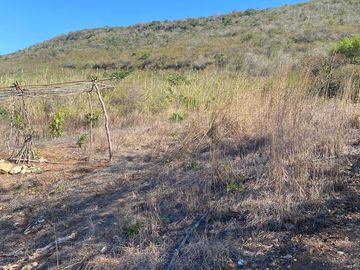 RANCHO EN OCOZOCOAUTLA