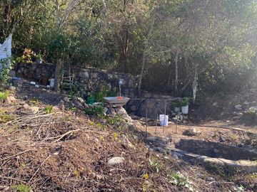 RANCHO EN OCOZOCOAUTLA