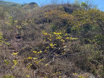 RANCHO EN OCOZOCOAUTLA