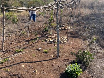 RANCHO EN OCOZOCOAUTLA