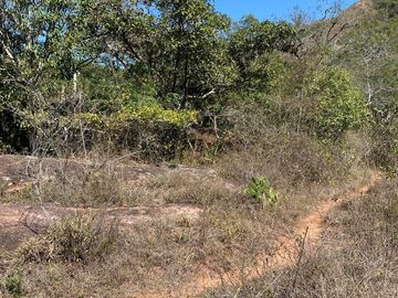 RANCHO EN OCOZOCOAUTLA