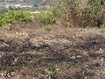RANCHO EN OCOZOCOAUTLA