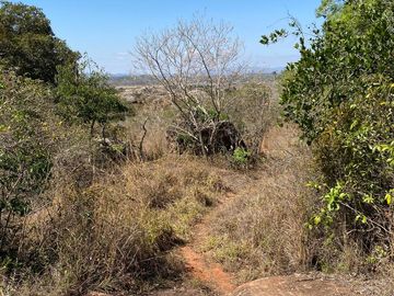 RANCHO EN OCOZOCOAUTLA