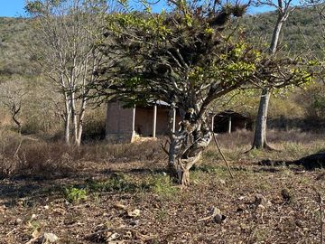 RANCHO EN OCOZOCOAUTLA