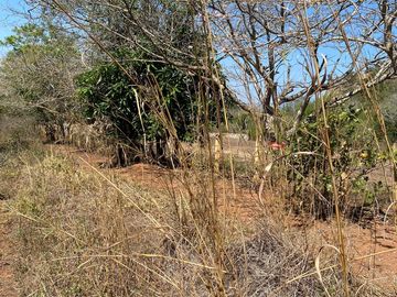 RANCHO EN OCOZOCOAUTLA