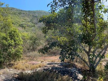 RANCHO EN OCOZOCOAUTLA