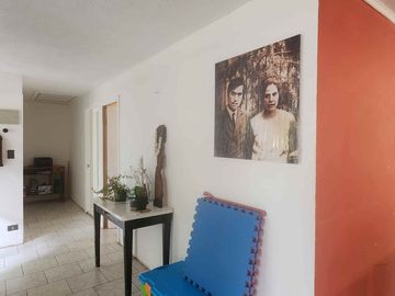 Venta parcela con Casas y plantación de arandanos